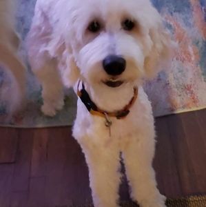 Meet your Posher, Staci